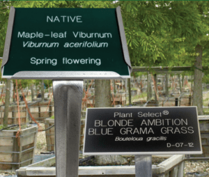 Order a Plant Sign | Plant Signs